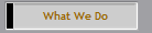 What We Do