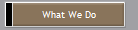 What We Do